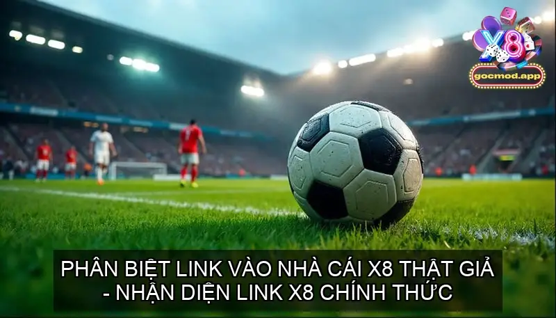 phan biet link x8 that gia 68f3090f41e15